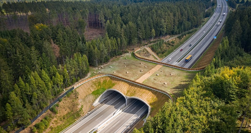 Ecoduct on D1 highway, section 12 Ecoduct on D1 highway, section 12