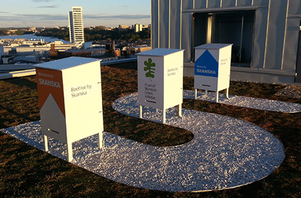 Entré Lindhagen Skanska beehives