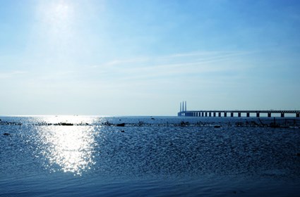 The Öresund Bridge