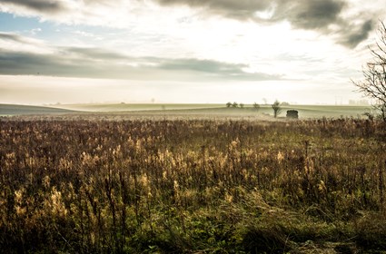 Soil that we have dug up, has been reused in the plantations along the tramway. Photo: Kristina Strand Larsson, Lund Municipality.