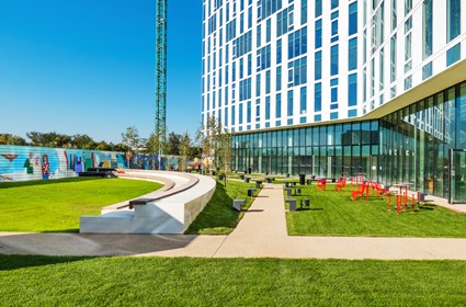 Campus 6 Placemaking